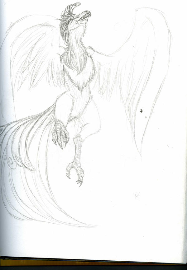 Rising Phoenix sketch by ArticTigress on DeviantArt