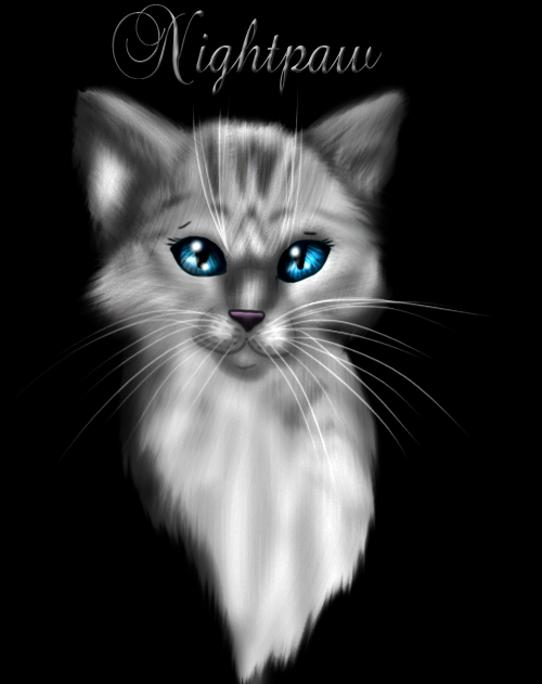 Nightpaw Realistic