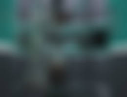 The Captains Pet 1