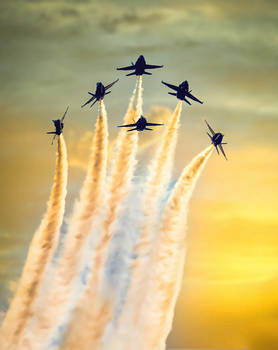 Blue angels through the sky