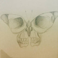 Butterfly skull