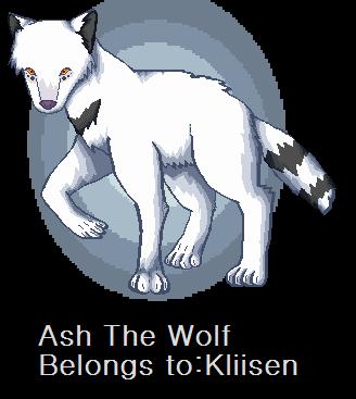 Ash Wolves Ash the wolf by L-i-n-e-S on DeviantArt
