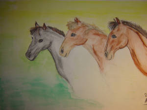 Three Horses