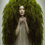 Willow