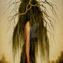 Willow