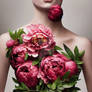 Peony