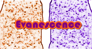 Evanescence silueta 2