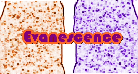 Evanescence silueta 2