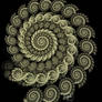 Silly Spirals