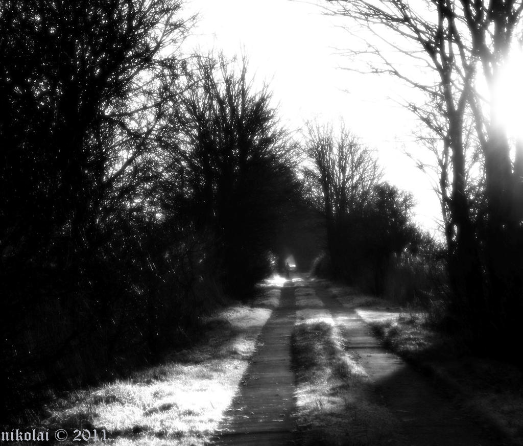 Balck Path The black path.. by EtherealTraveller on DeviantArt