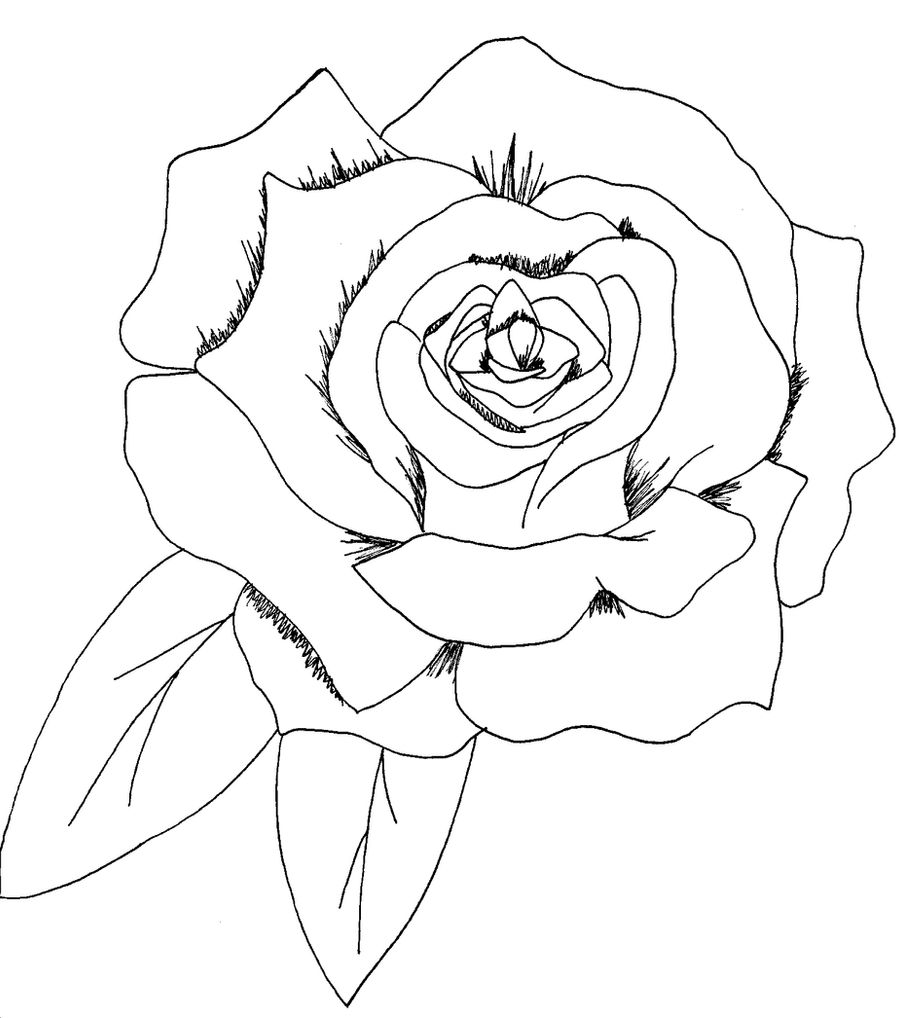 Commission: A Simple Rose...