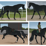 Barghest -- equiBREAK mandatory horse training