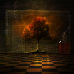 Illusion of freedom by sf314
