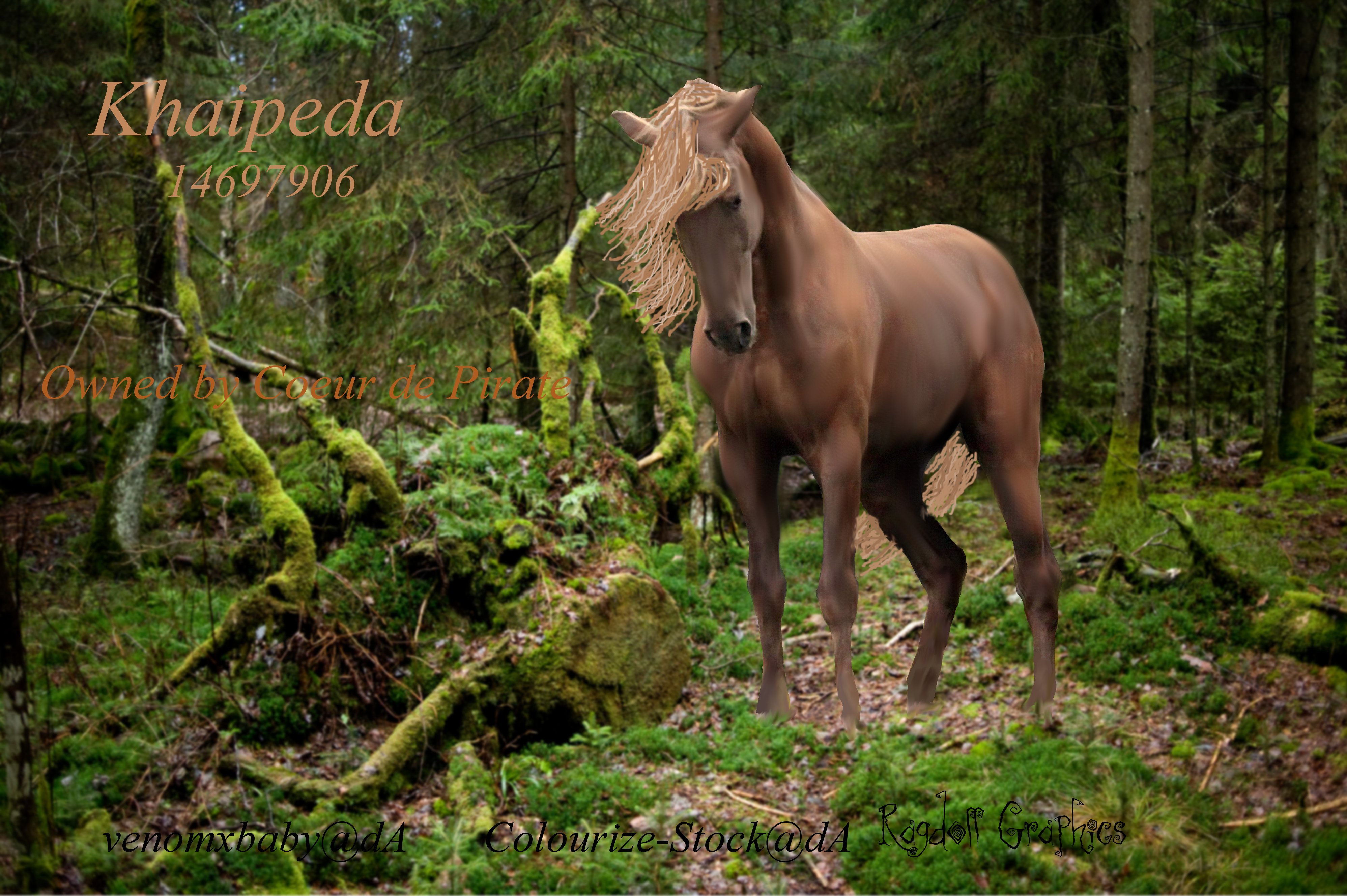 Khaipeda horse pic