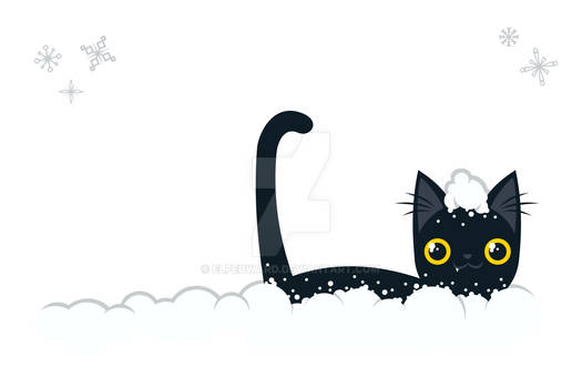 Black Cat in Snow
