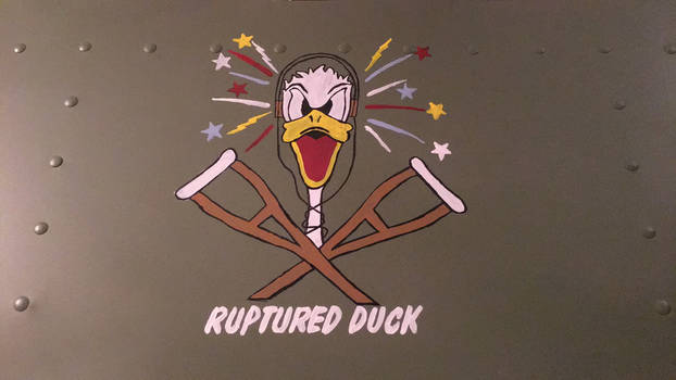 Ruptured Duck Panel