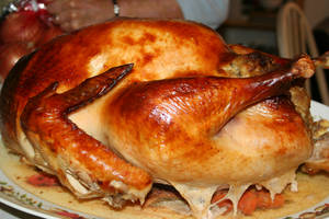 thanksgiving turkey 1