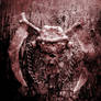 Rattlehead