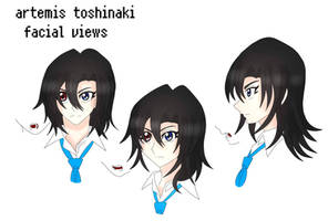 Artemis toshinaki facial view sheet 