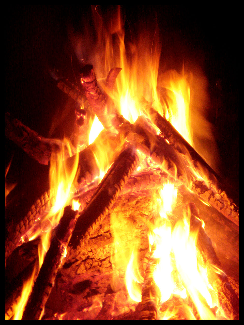 Burning Wood