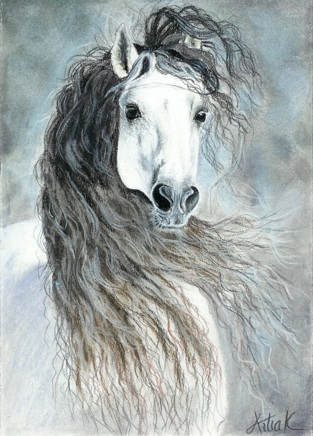 Andalusian horse