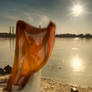 wind4