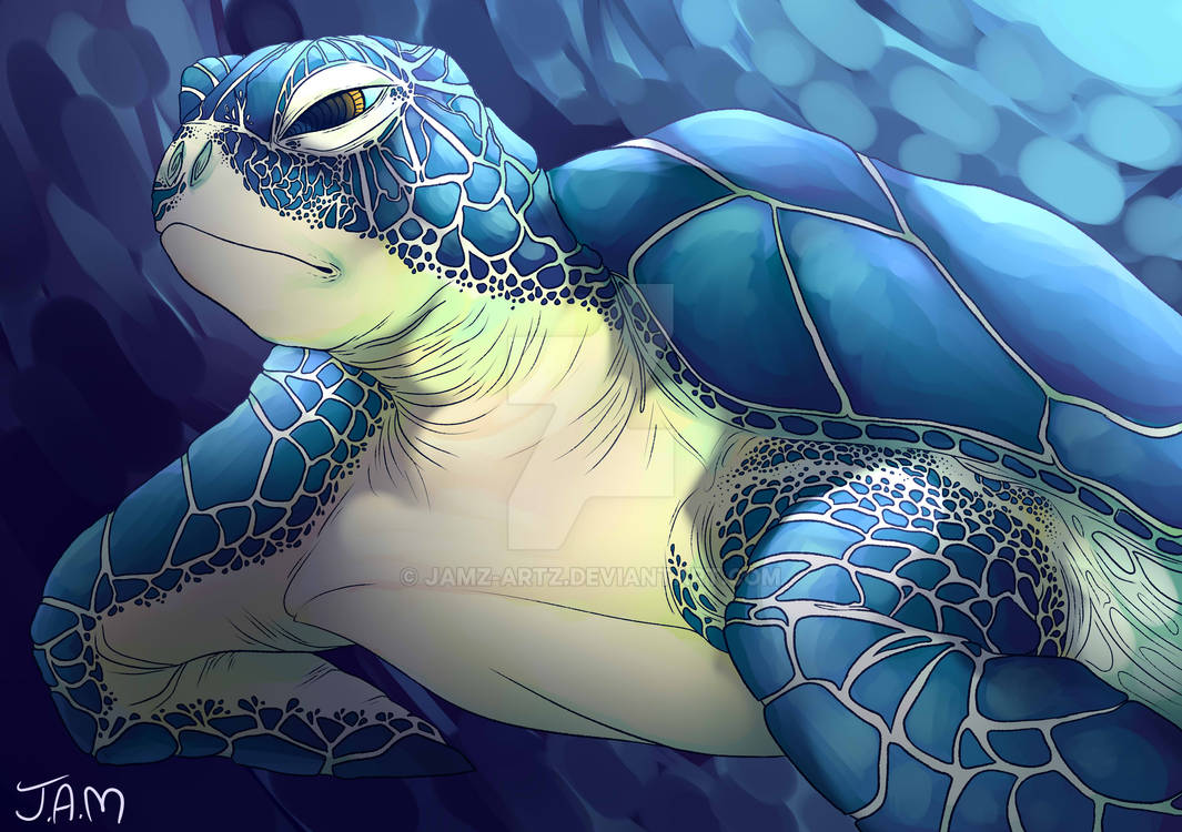Sam Turtle Deviantart Turtle by Jamz-artz on DeviantArt