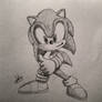 Sonic the hedgehog