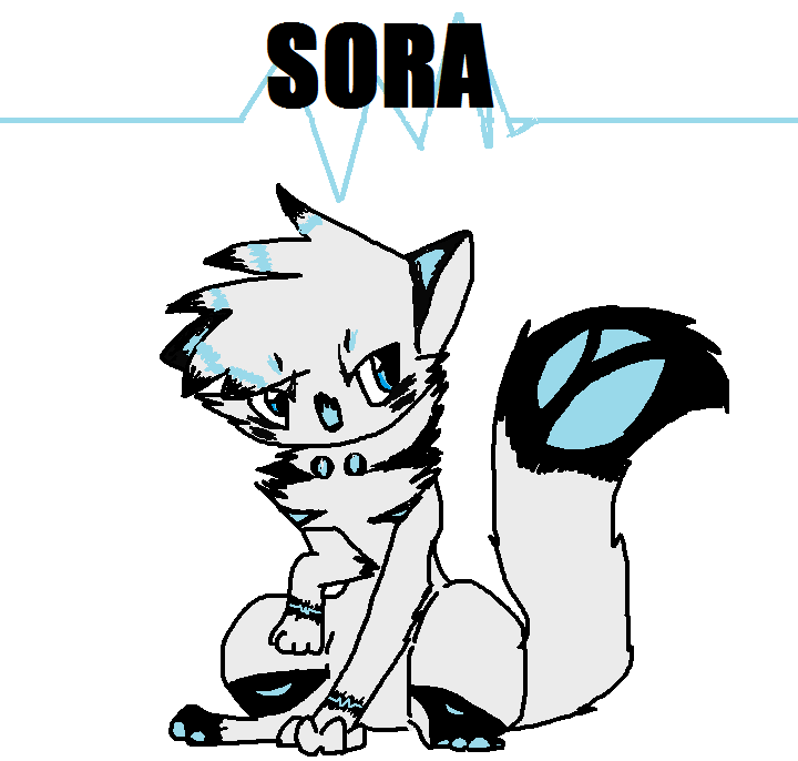 Sora :Ref: