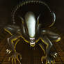 Xenomorph