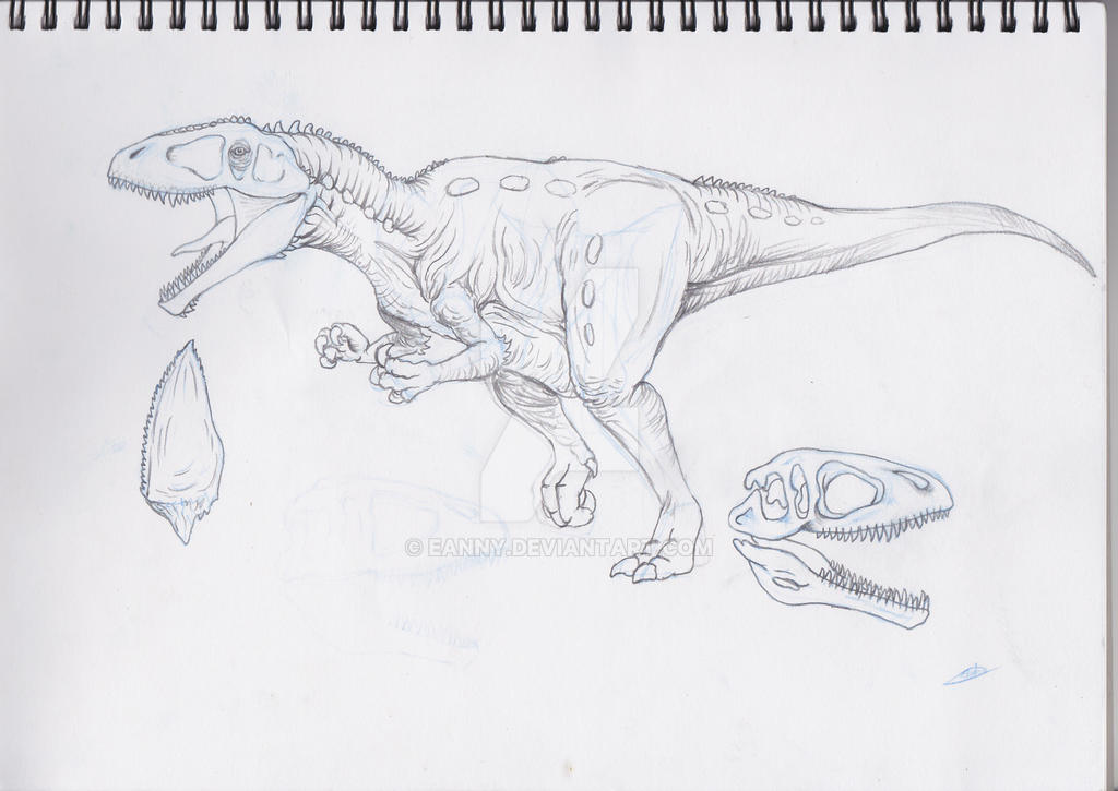 Carcharodontosaurus Pencil Sketch By Eanny On DeviantArt carcharodontosaurus-pencil-sketch-by-eanny-on-deviantart