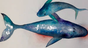 Humpback Whale Watercolor