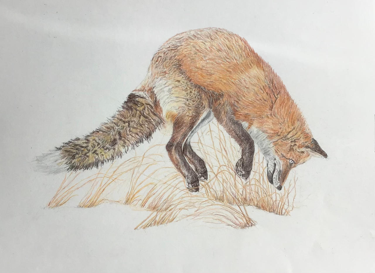 Fox Hunting by pencilartnz on DeviantArt