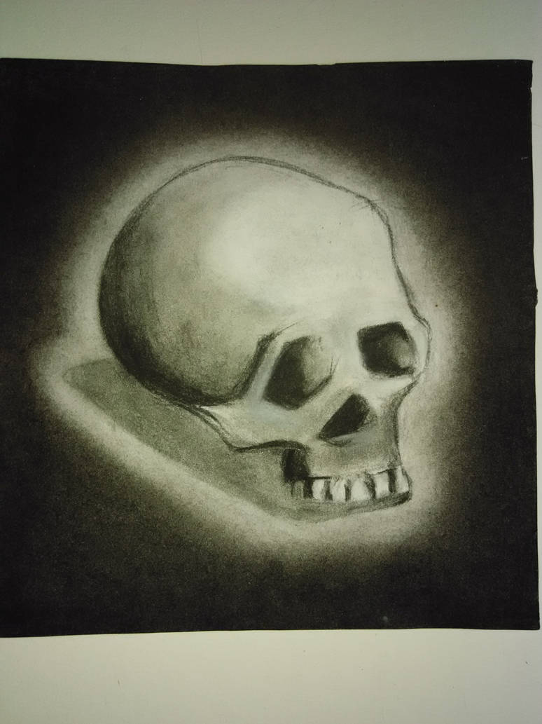 Charcoal skull by mrtsrex on DeviantArt