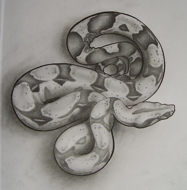 peruvian redtail boa by sindeepmywickedangel on DeviantArt