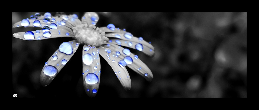 + Droplets Revisited