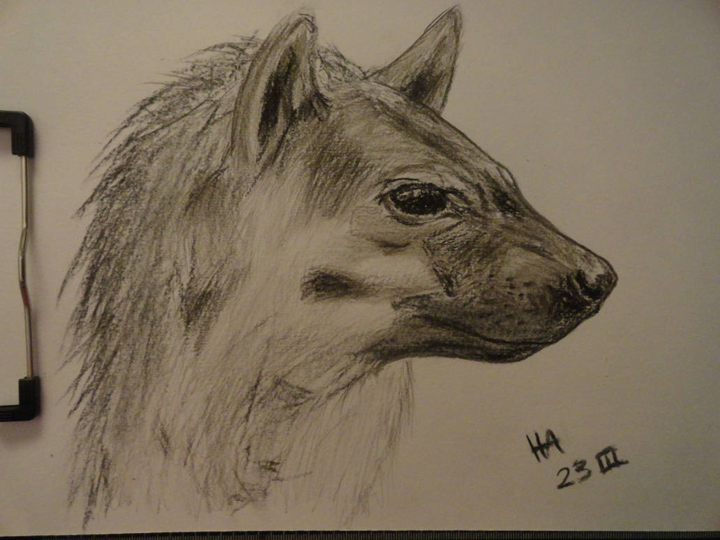 hyena 23 III