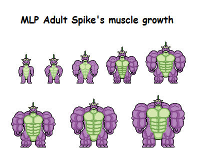 Mlp Muscle Rarity MLP Adult Spike's muscle growth by Effra-Bulbizarre on DeviantArt