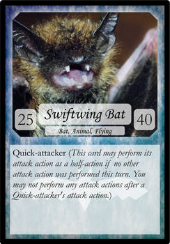 001 Swiftwing Bat