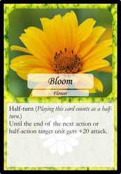 002 Bloom