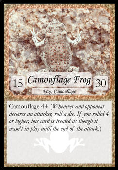 005 Camouflage Frog