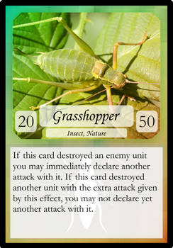 008 Grasshopper