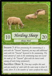 010 Herding Sheep