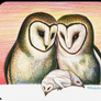 Owl Love