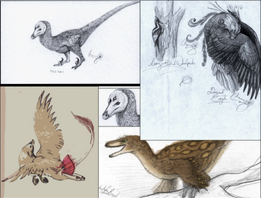 Feathered Drawings