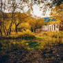 Abandoned barracks in the forest