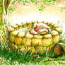 Slowpoke Well
