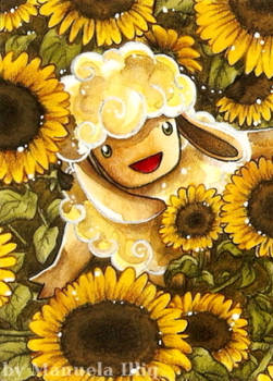 Sunflower-sheep