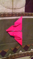 Butterfly Origami (Bottom)
