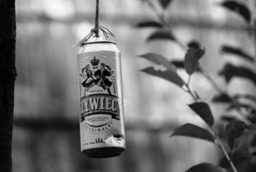 zywiec